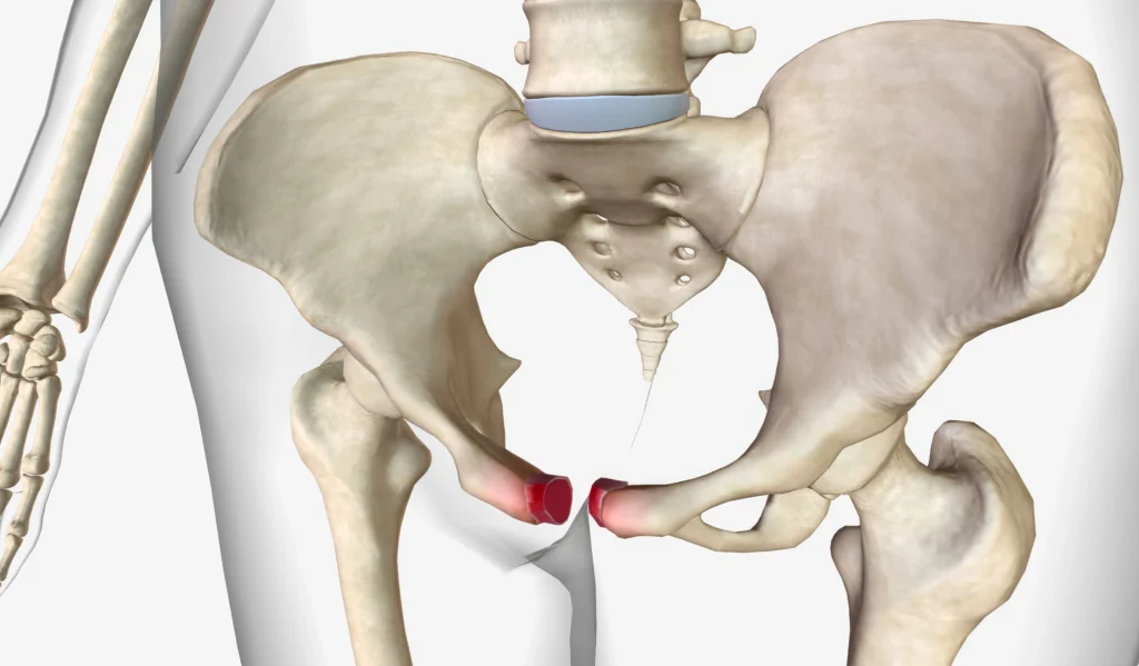 afi impingement in indore, orthopedic doctor in indore